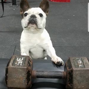 Meet your Posher, Billy